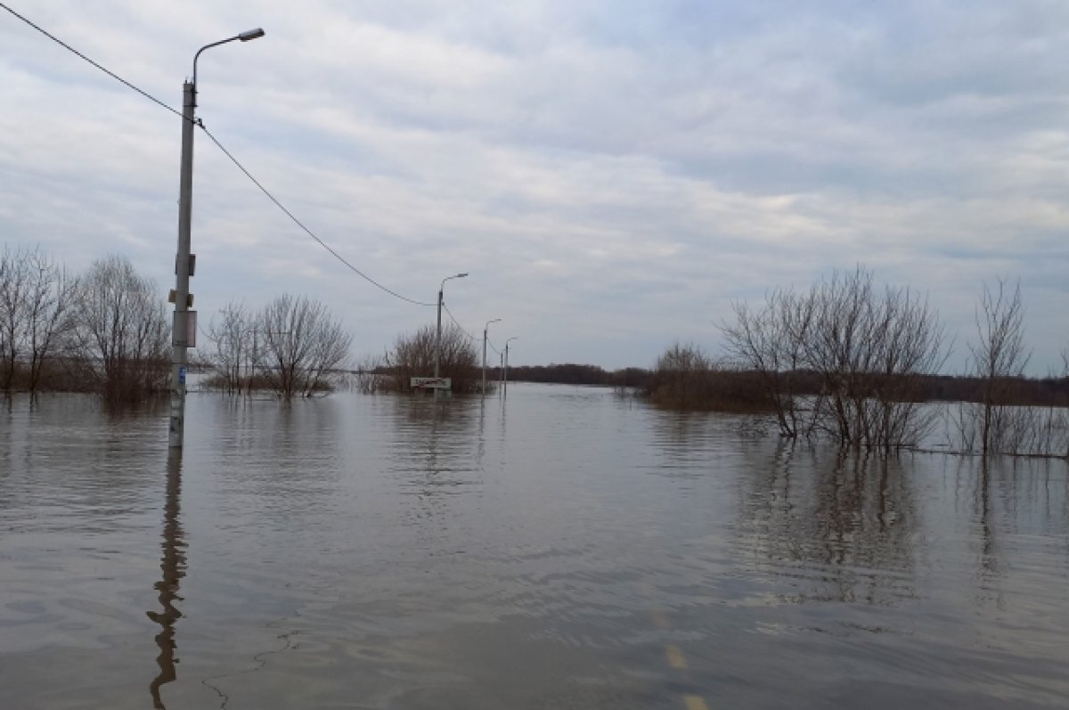 Куда плывём? В Ивановской области ждут большой воды | АиФ-Иваново | Дзен