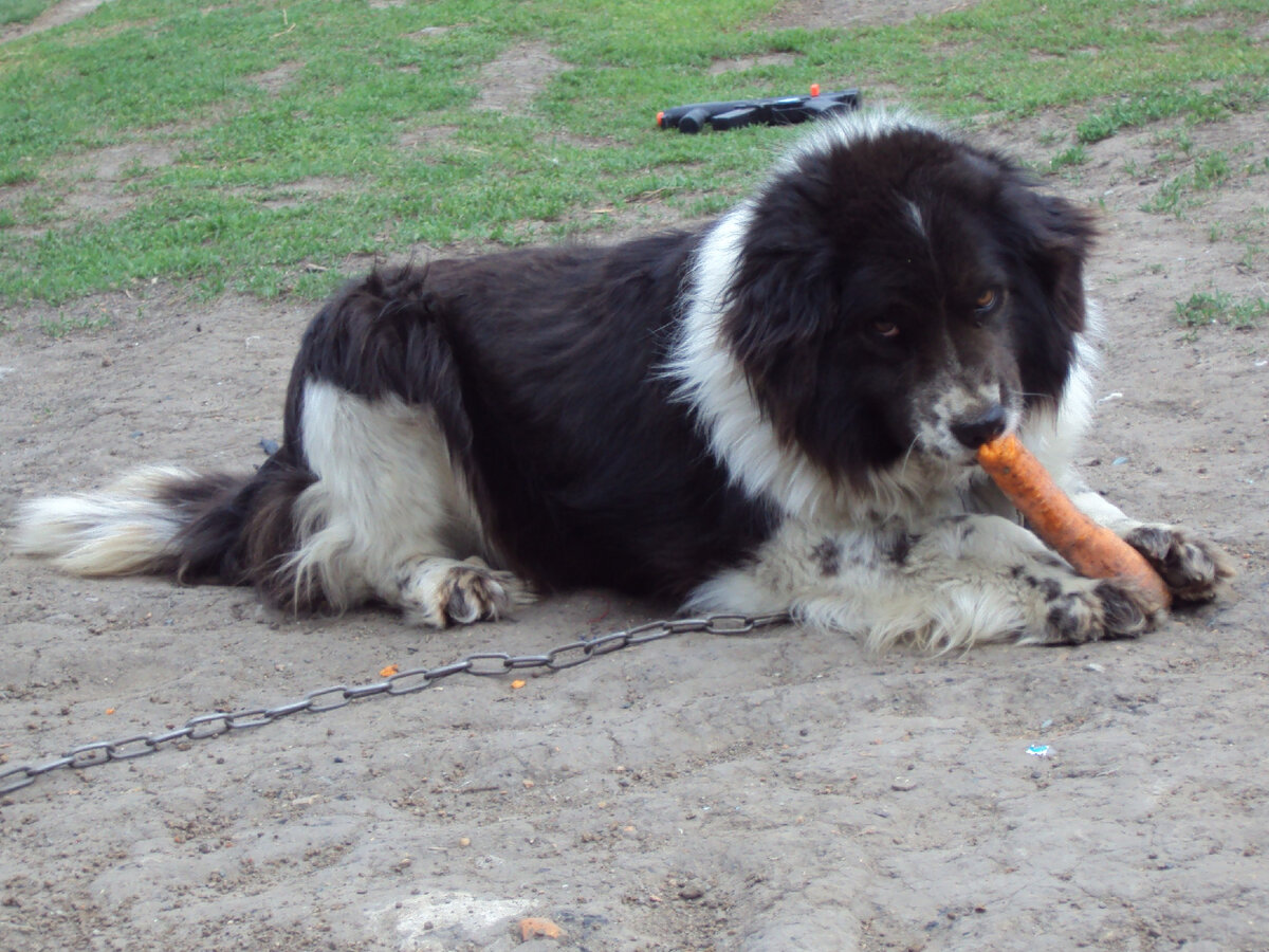 Фото автора канала "Волнушка"