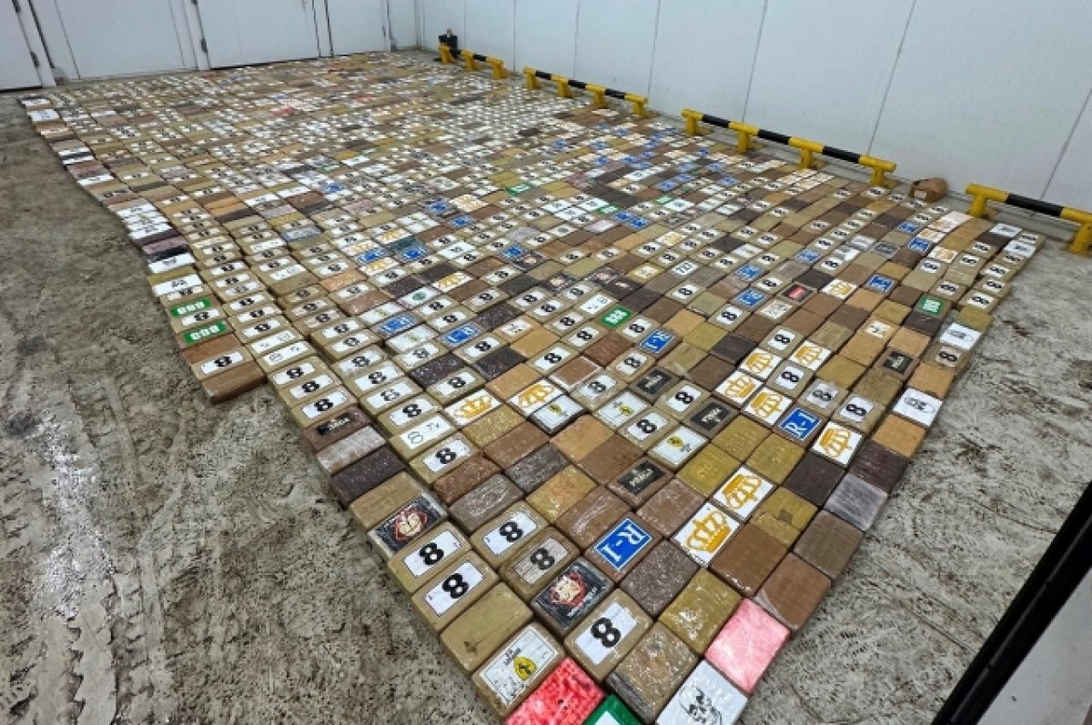    Mash: владельцем перехваченного в Петербурге кокаина оказался спонсор РДК