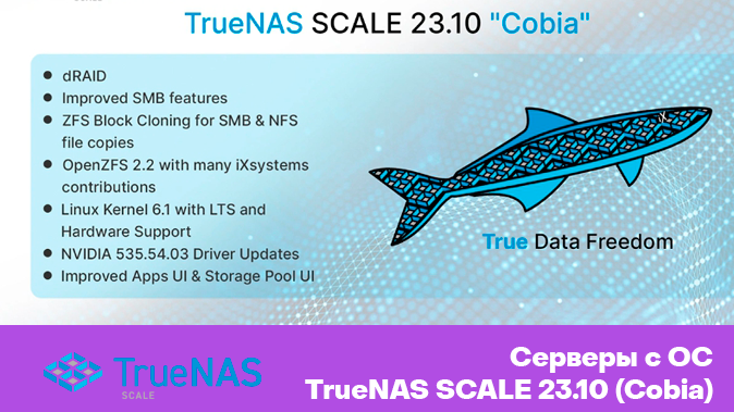 Теперь вы можете заказать у нас серверы с операционной системой TrueNAS SCALE 23.10 (Cobia) для создания сетевых хранилищ.