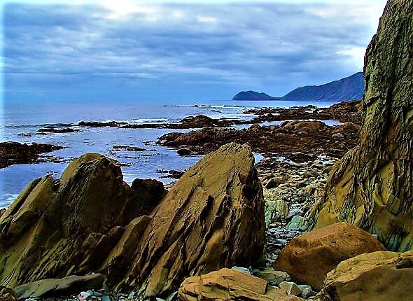 2. Берег на острове Колючин