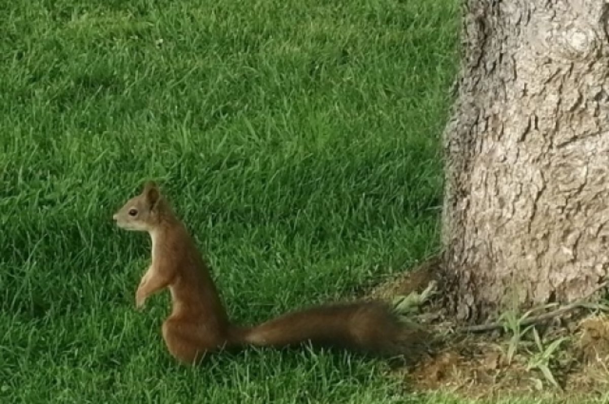    +15°С и снег.