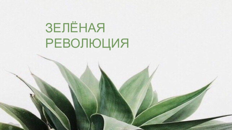 Материал из сети Интернет