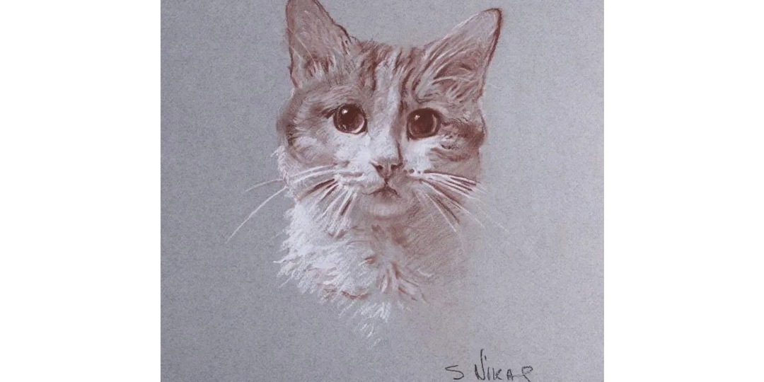 Художник Никас Сафронов нарисовал портрет известного кота Твикса