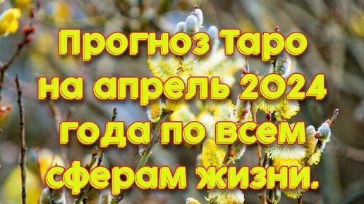 Прогноз Таро на апрель 2024 года по всем сферам жизни.