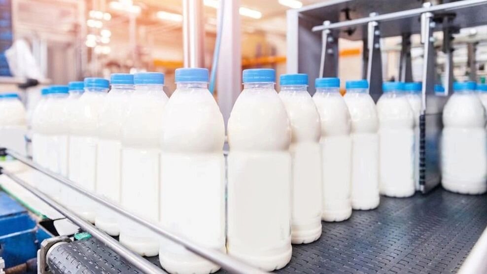 товары повседневного спроса примеры. розничные товары. рынок оптовой и розничной торговли. выпускающие продукцию для рынка. рынок продуктов.