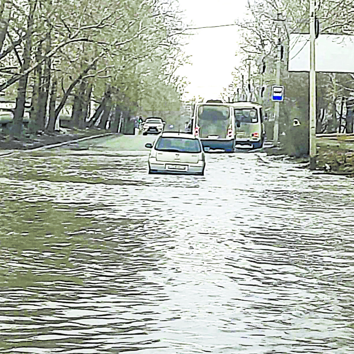 Изо льда в воду: как Бийск снова превратился в Венецию | Деловой Бийск |  Дзен