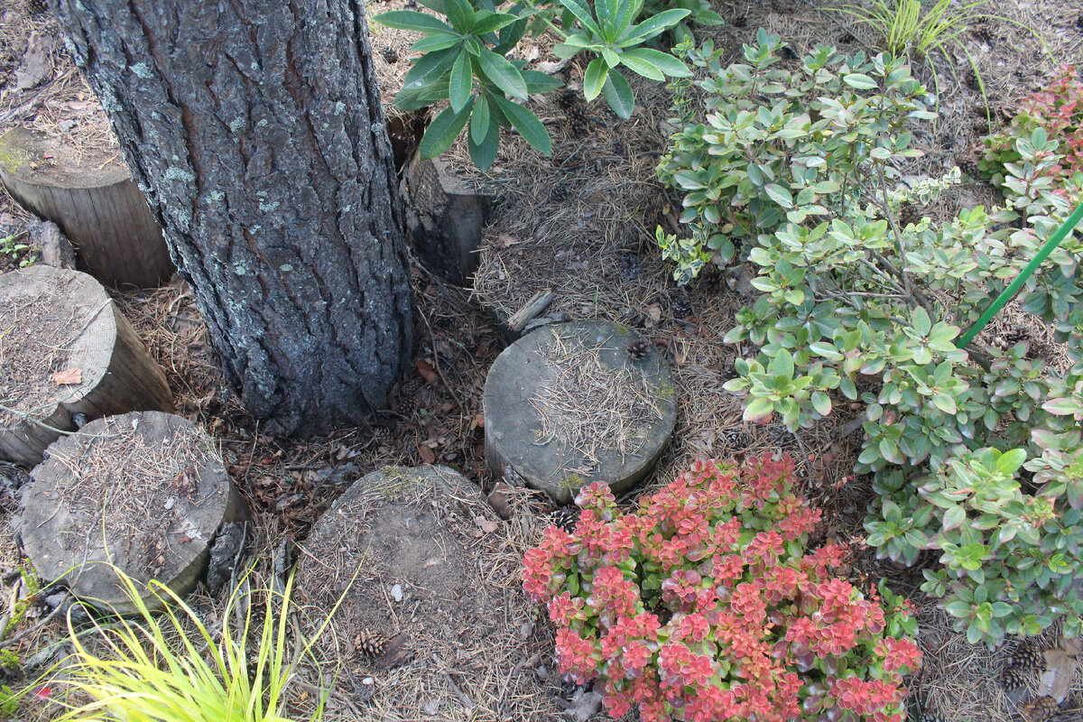 Здесь глубина около 40 см