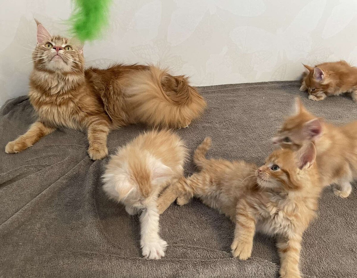 Фото из личного архива