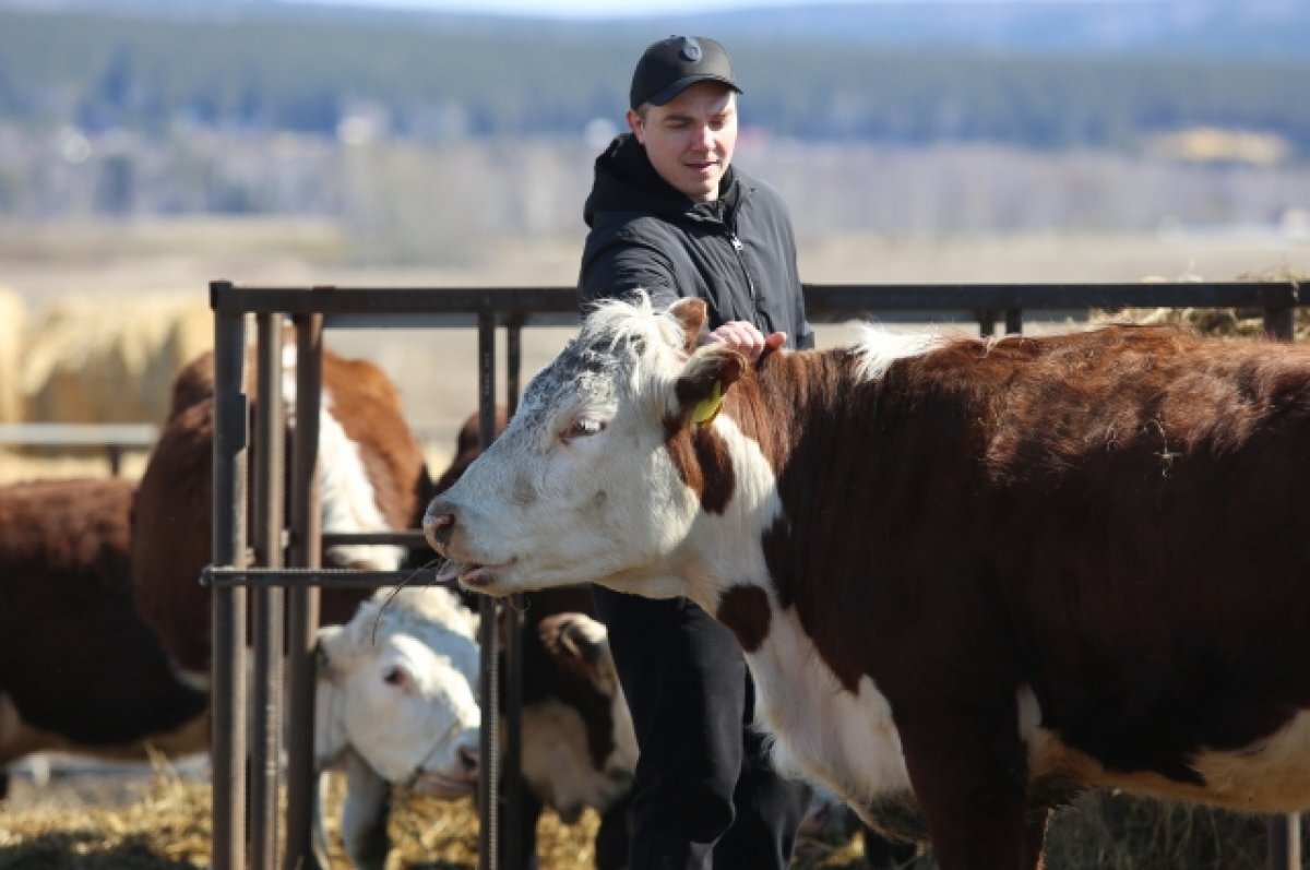    На поддержку фермеров выделят 1,4 млрд рублей.