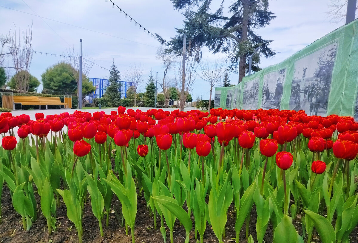 Матросский бульвар, март 2024г