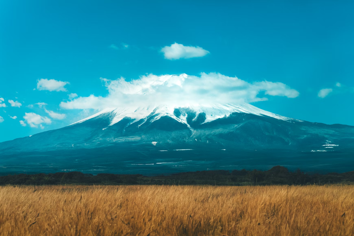 Фото с бесплатного фотостока https://unsplash.com, автор Andrea De Santis