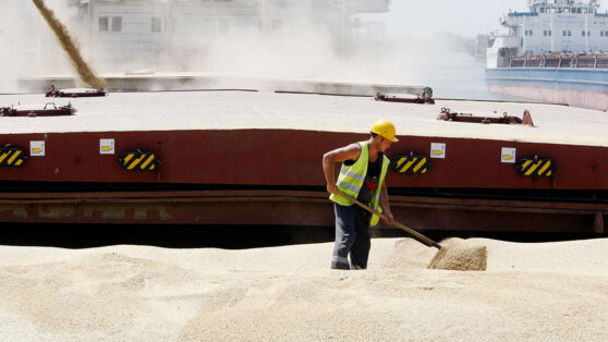    В Киеве заявили, что ограничения ЕС на украинское зерно затянут конфликт с Россией Татьяна Сидорова