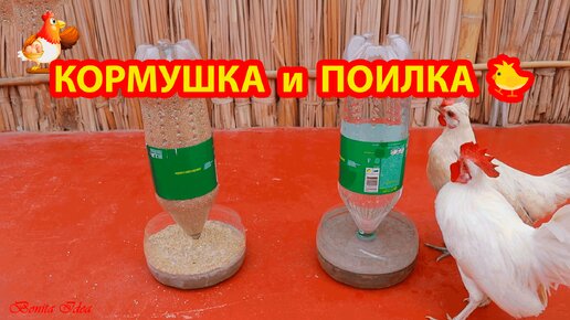 Кормушка для птиц из пластиковой бутылки: пошаговая инструкция