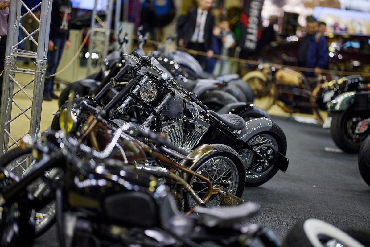 Фото: архив пресс-служб