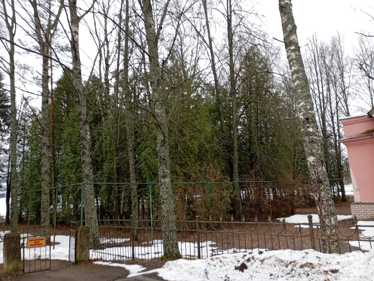 Фото Ярослава