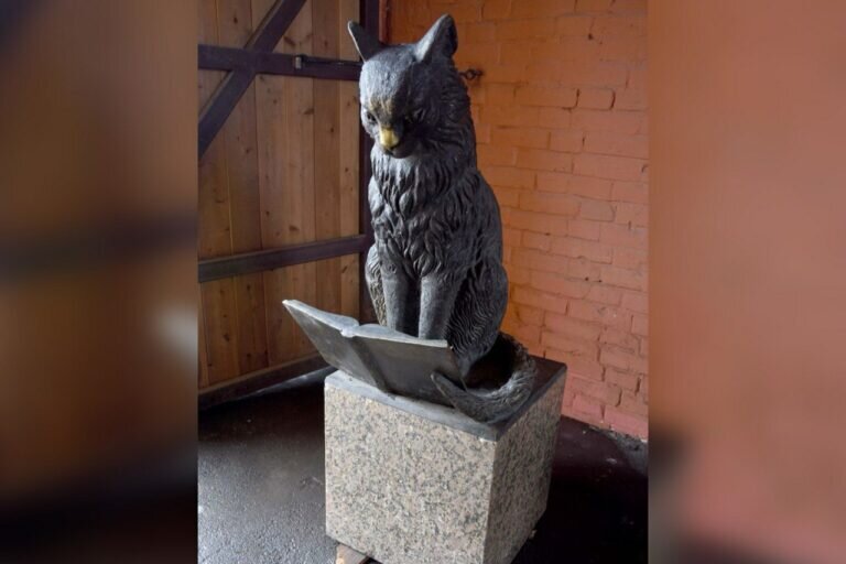    В Оренбурге у Музея истории готовят место для «ученого кота» Марина Шарт