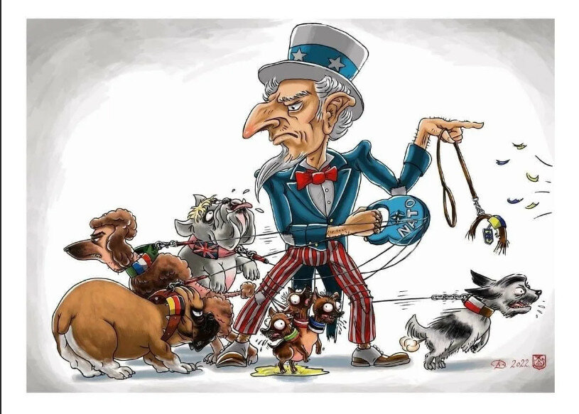 Все фото и картинки из интернета. Яндекс. Картинки.