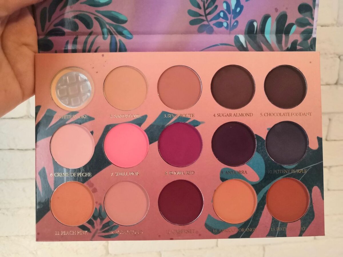 Клепач в феврале, 2 отчет