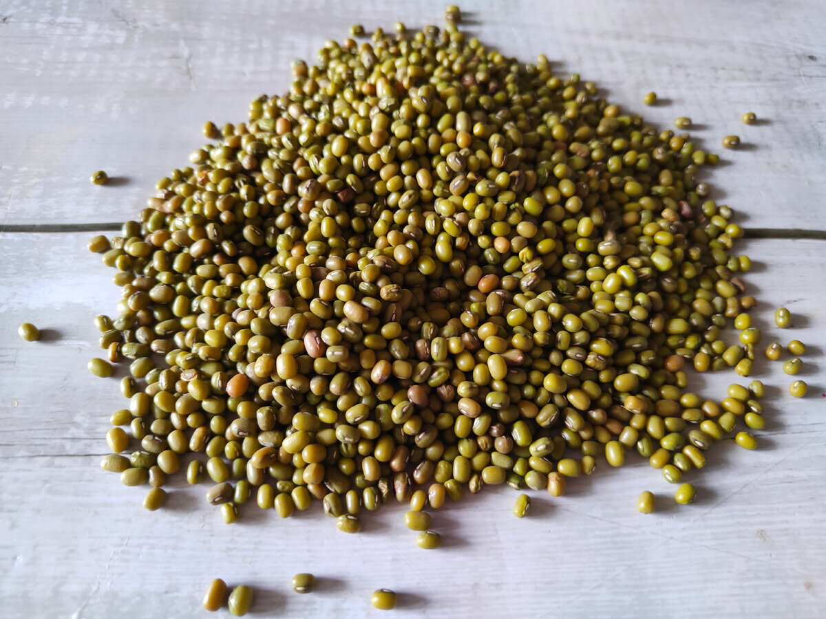 Наверняка вы замечали на полках магазинов вот такую интересную мелкую зелёную фасоль 🙂 Фото канала "Будет Вкусно!" 