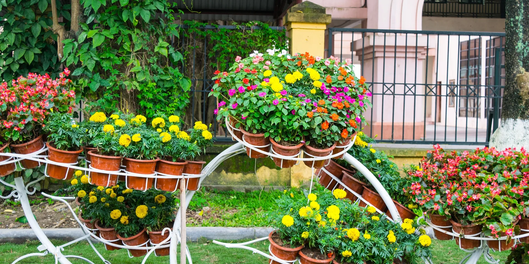 Весеннее обновление: 80+ интересных идей с ФОТО для вашего сада ❤️