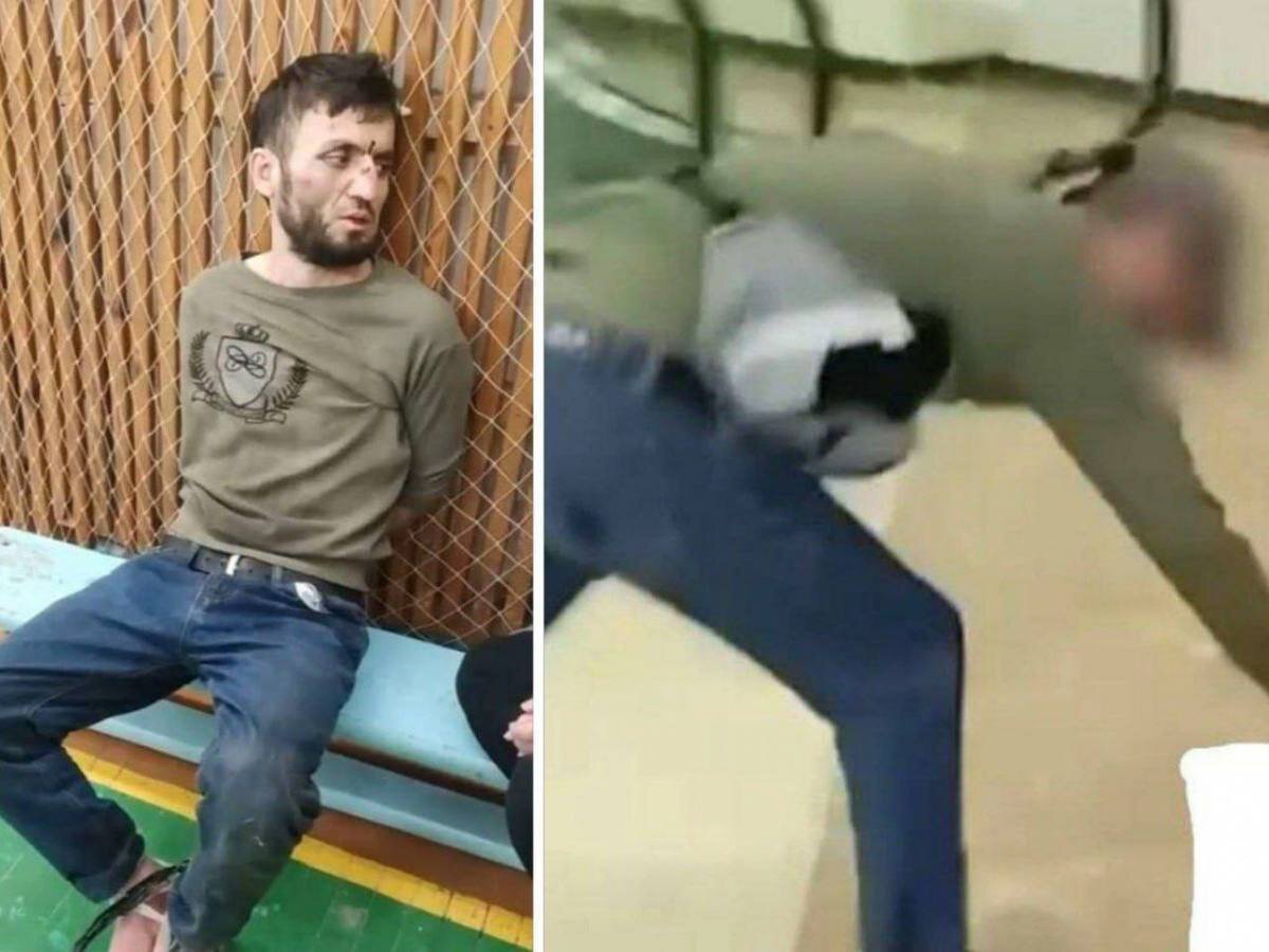 лови бит. низов.