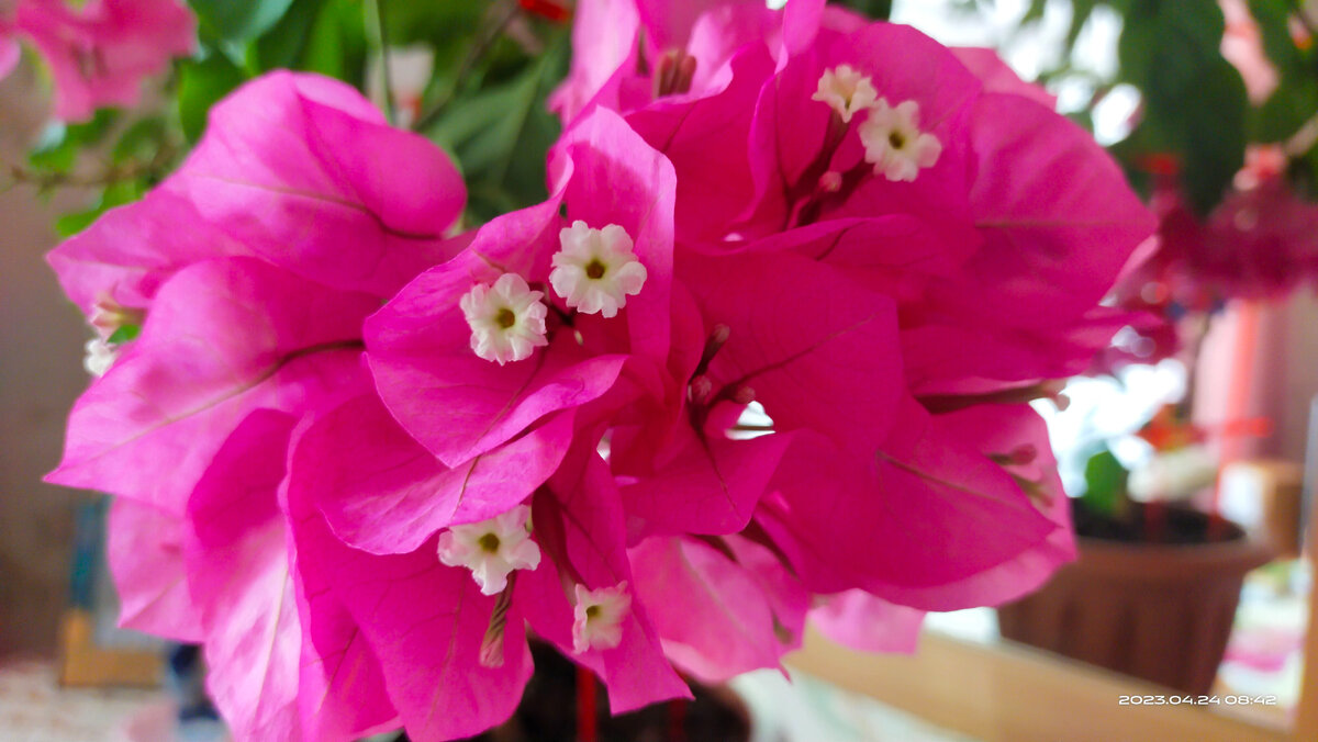 Фото от 24 апреля 2023 года. 