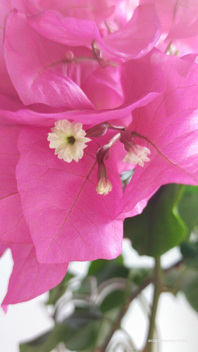 Фото от 4 апреля 2023 года.