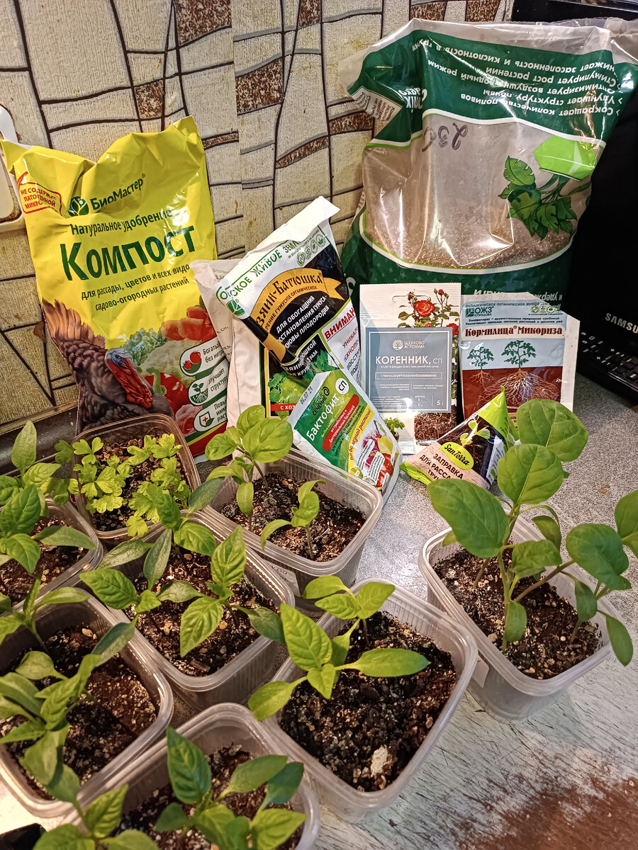 Вроде бы ничего росли понемногу .