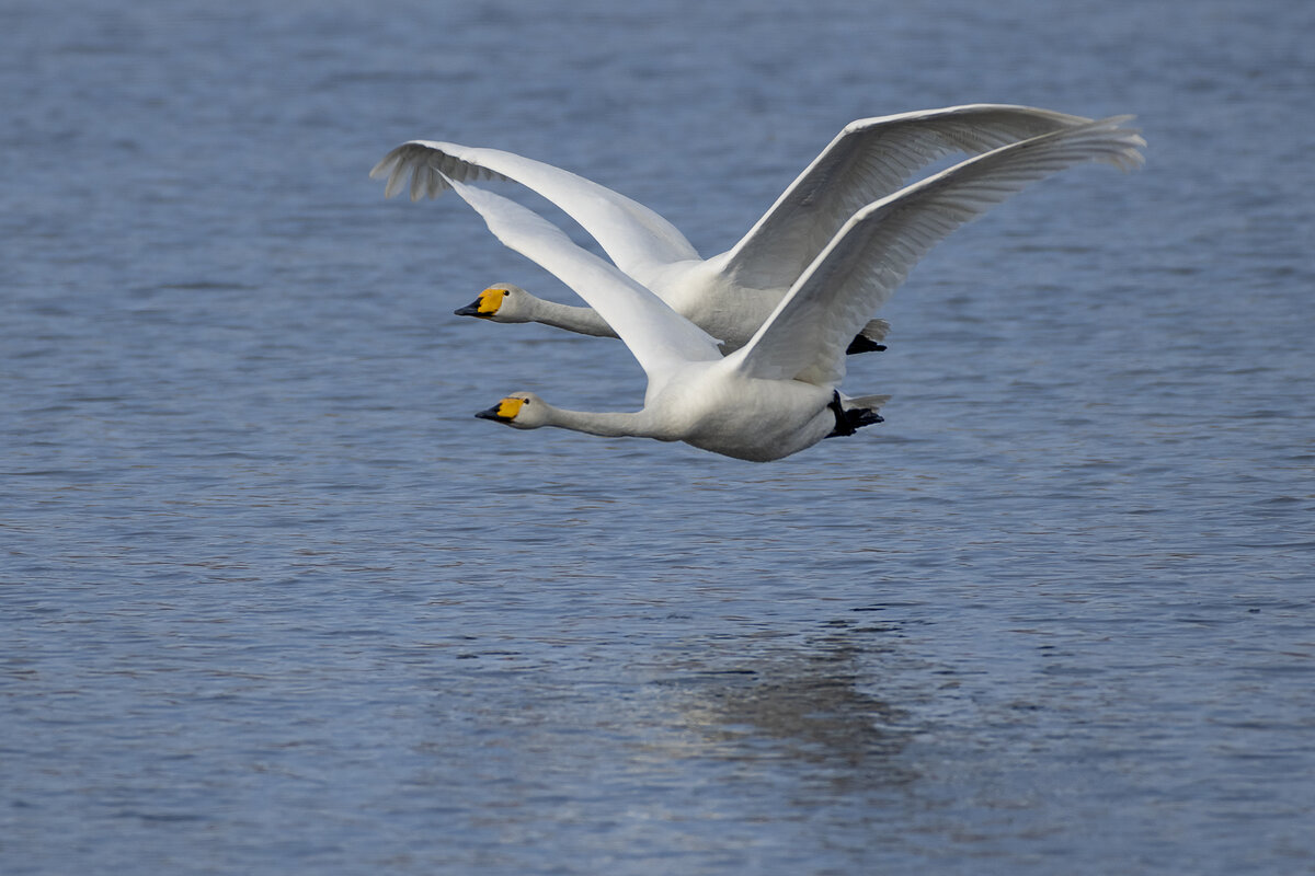 "Нужно было дышать одним воздухом!"
