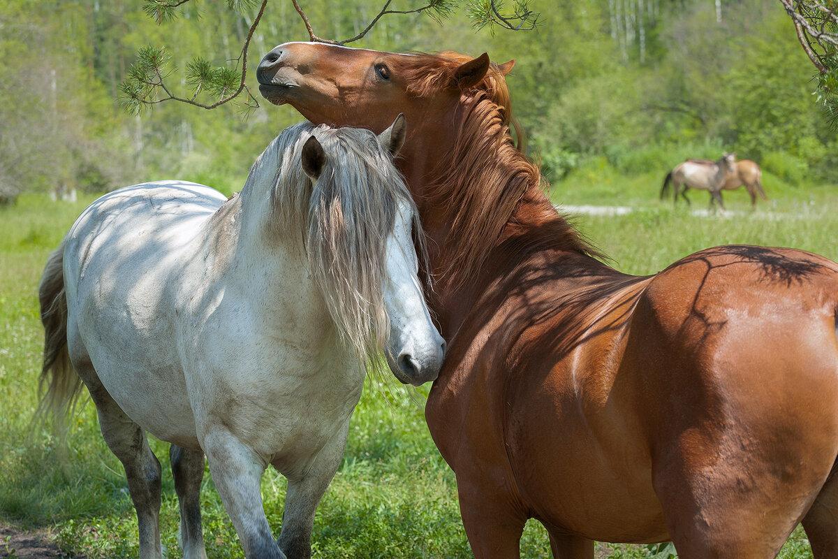 "Как же иногда мы мало ценим друг друга..."
