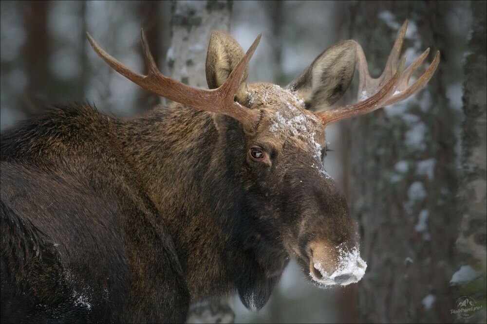 Фото: Влад Соколовский