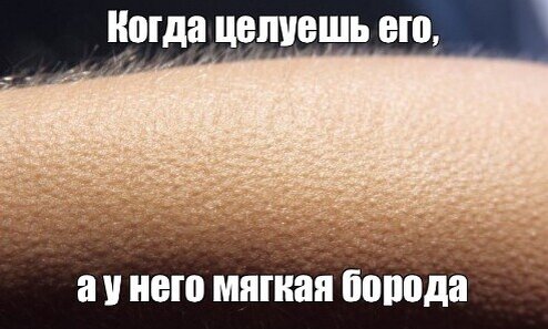 День гусиной кожи. 27 марта. Праздники и даты. | В курсе? | Дзен