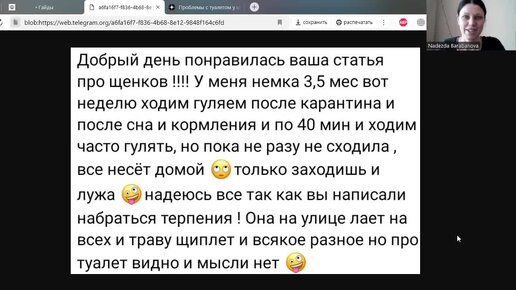 Щенок не ходит в туалет на улице. Почему и что делать