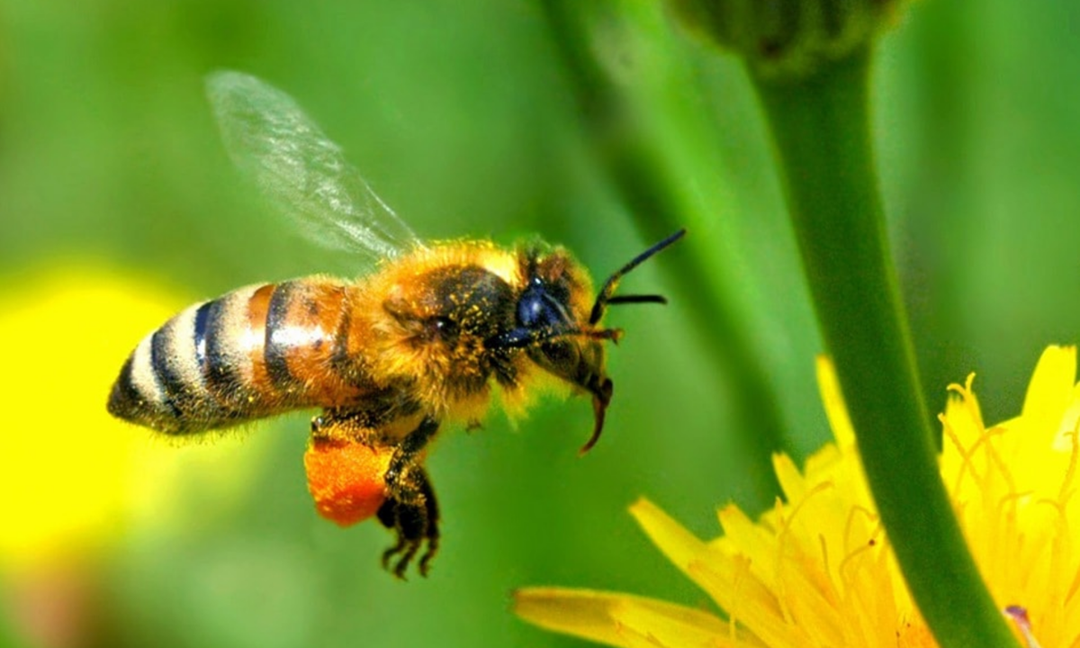 Изображение: top10a.ru