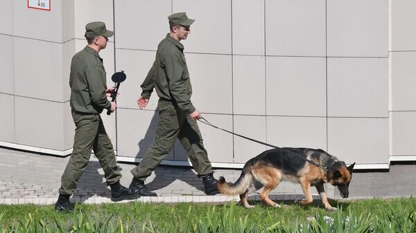    © Sputnik / Виктор Толочко