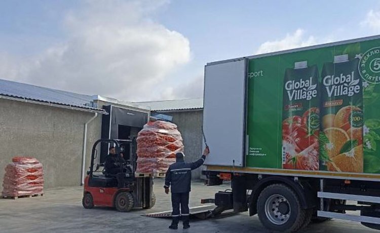    Первые на Юге России агроагрегаторы для фермерской продукции открылись в Волгоградской области