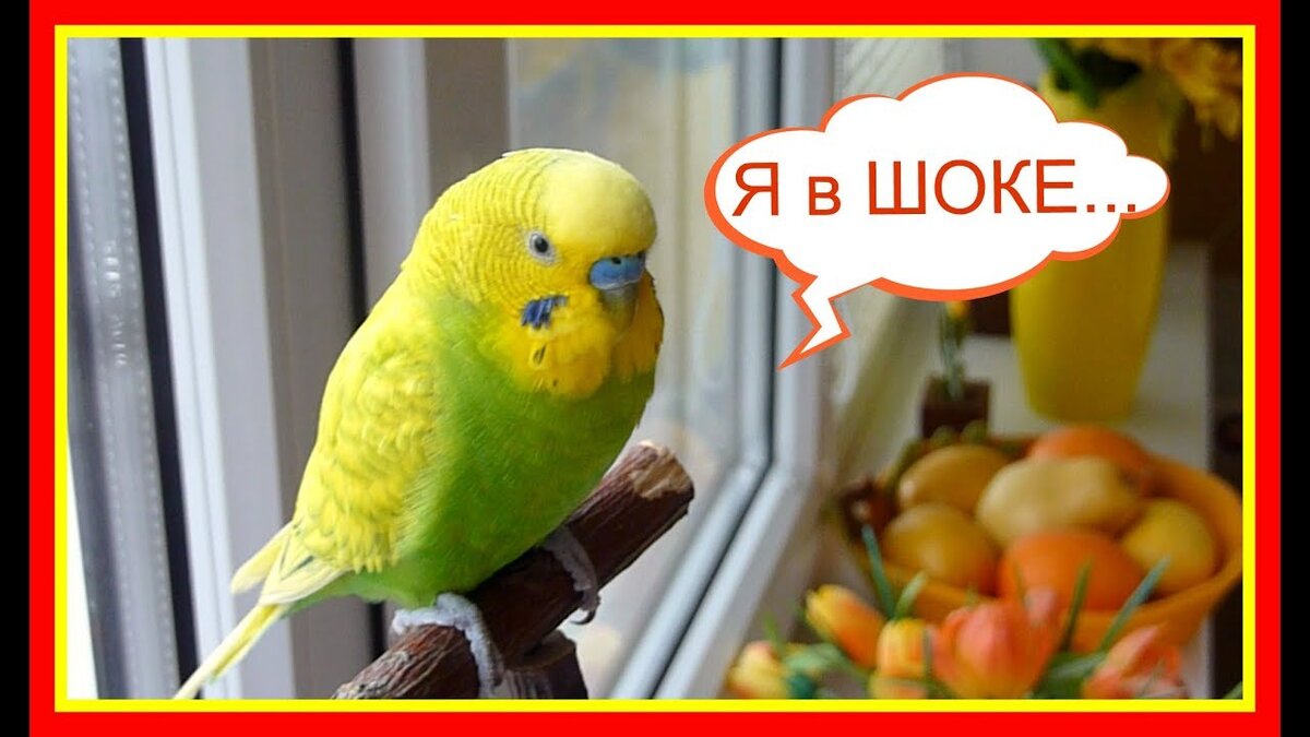 Примерно так