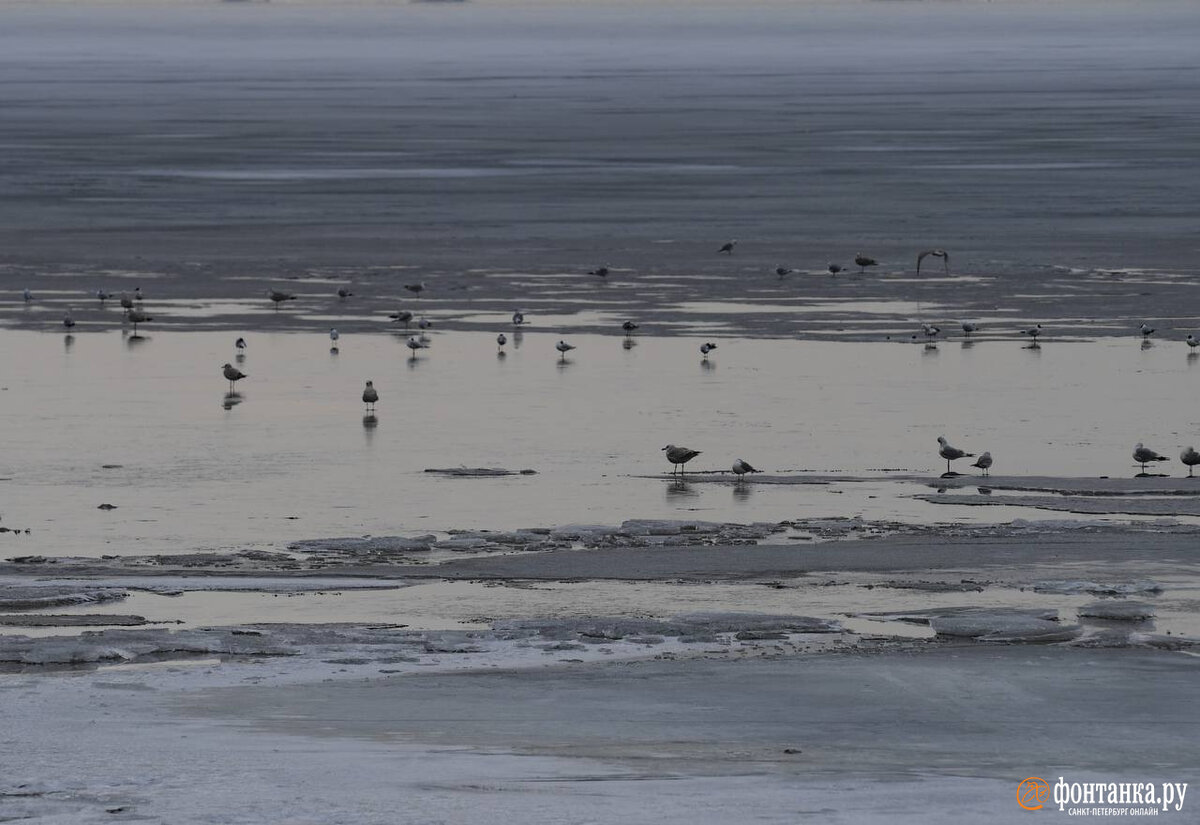 Необычные постройки. Архитектор хавьер сеносиан. Нереальная архитектура filip dujardin. Жауме пленса скульптуры йоркширском парке. Жилой экодом в монпелье, франция.