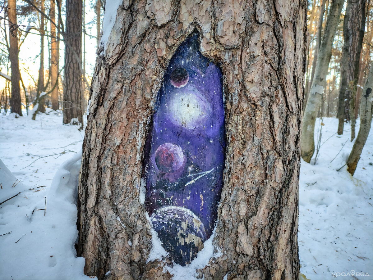 Когда мы гуляли в Екатеринбурге по Юго-Западному лесопарку около «Кита», то на деревьях заметили необычные рисунки.