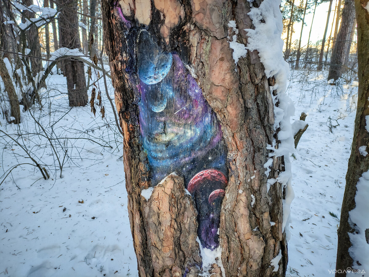 Когда мы гуляли в Екатеринбурге по Юго-Западному лесопарку около «Кита», то на деревьях заметили необычные рисунки.-2