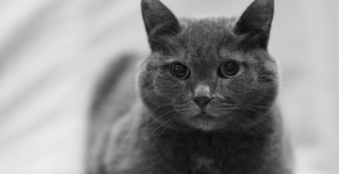    Фото: НИА "Экология"