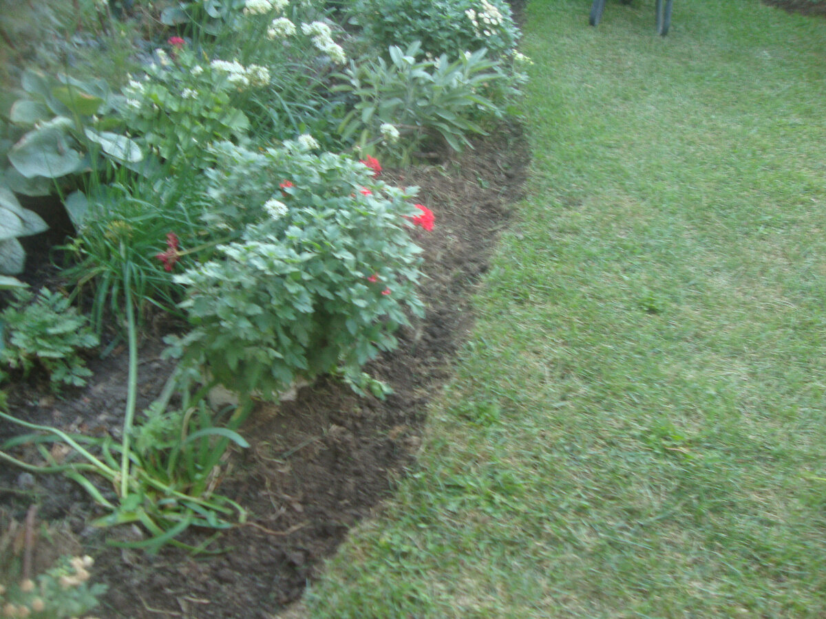 сентябрь 23 года