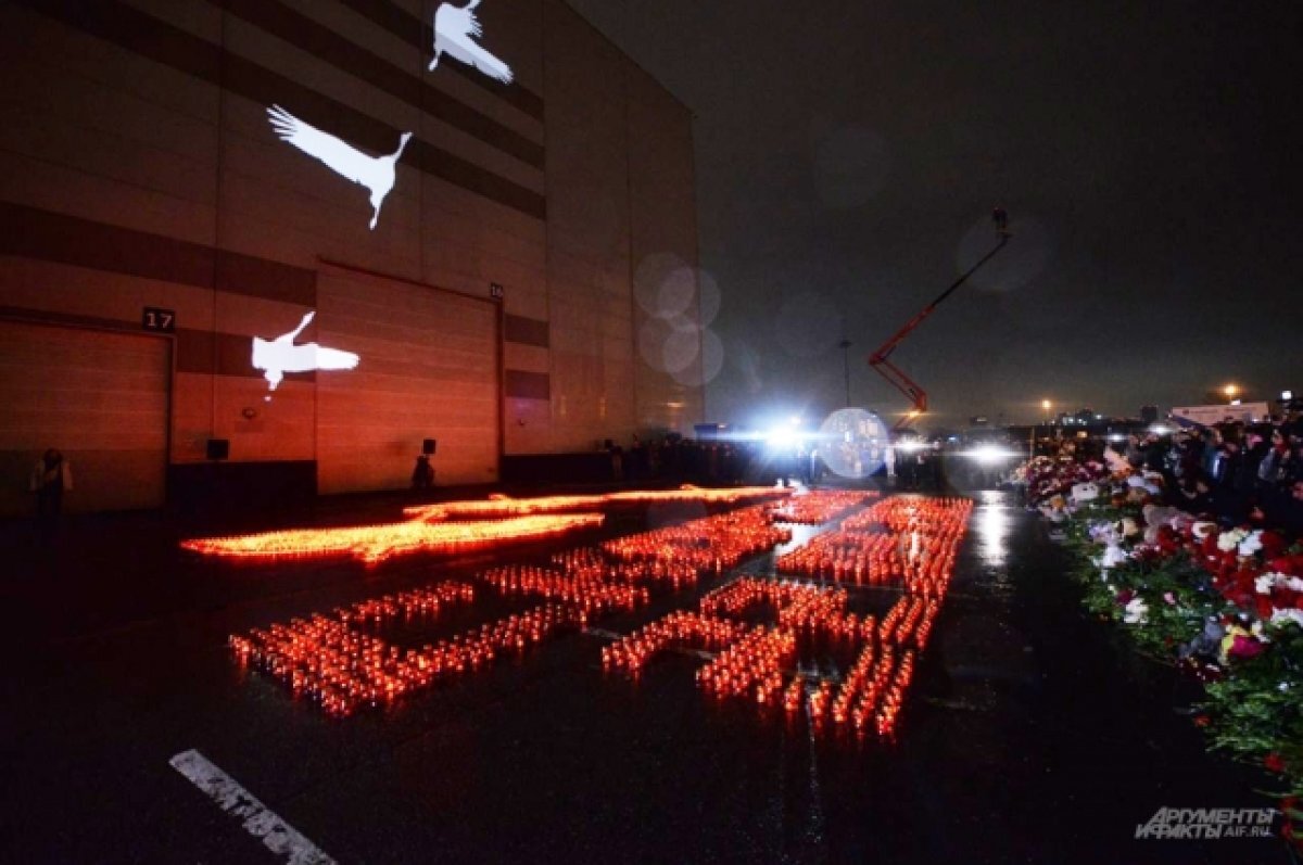    Авдеев подтвердил гибель семьи из Петушинского района в ходе теракта