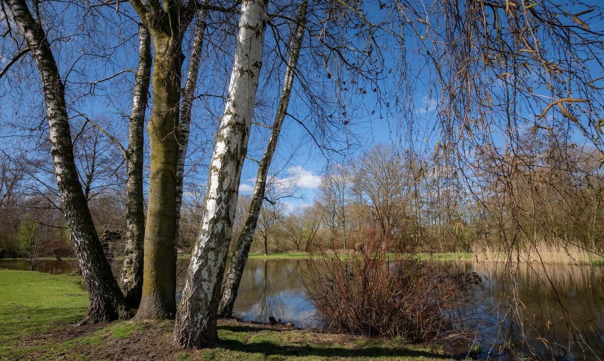 Из открытого доступа