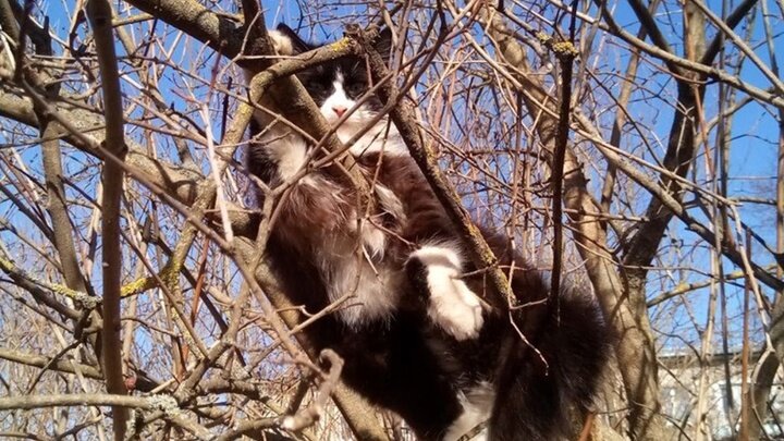 ФОТО: СТАС СТЕПАНОВ/ЦАРЬГРАД