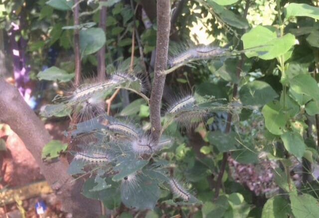    9d9f58cc-a470-4767-aefe-3d73435c1eed