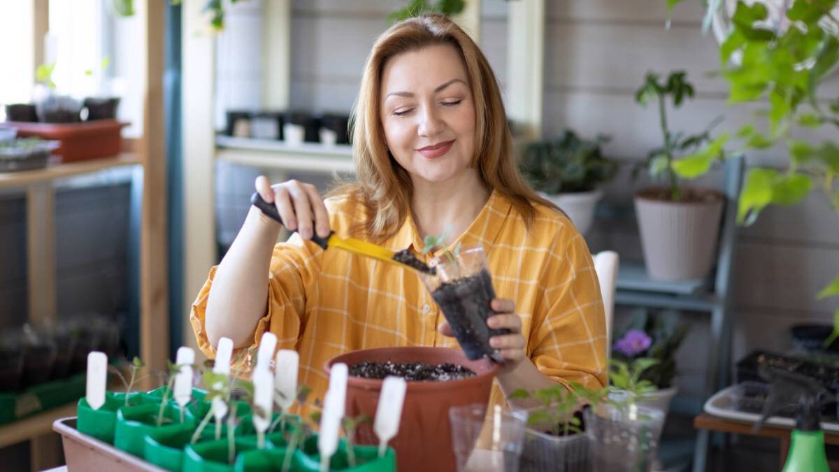    До конца марта еще есть время посадить семена томатов / Фото: Shutterstock