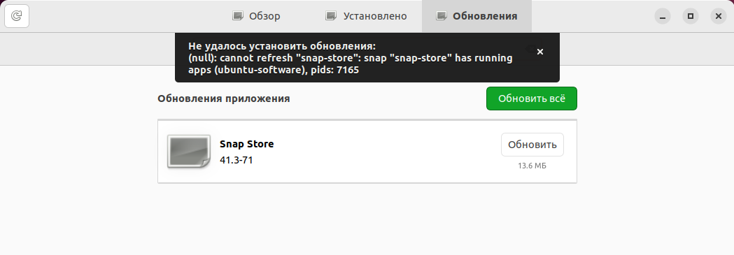 Ошибка обновления Snap Store 