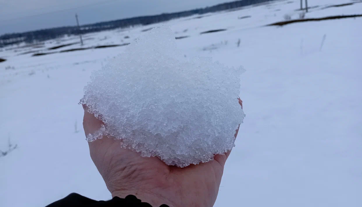 День 26 марта - "На заре я выйду в туман, или Разговор на свободную ...